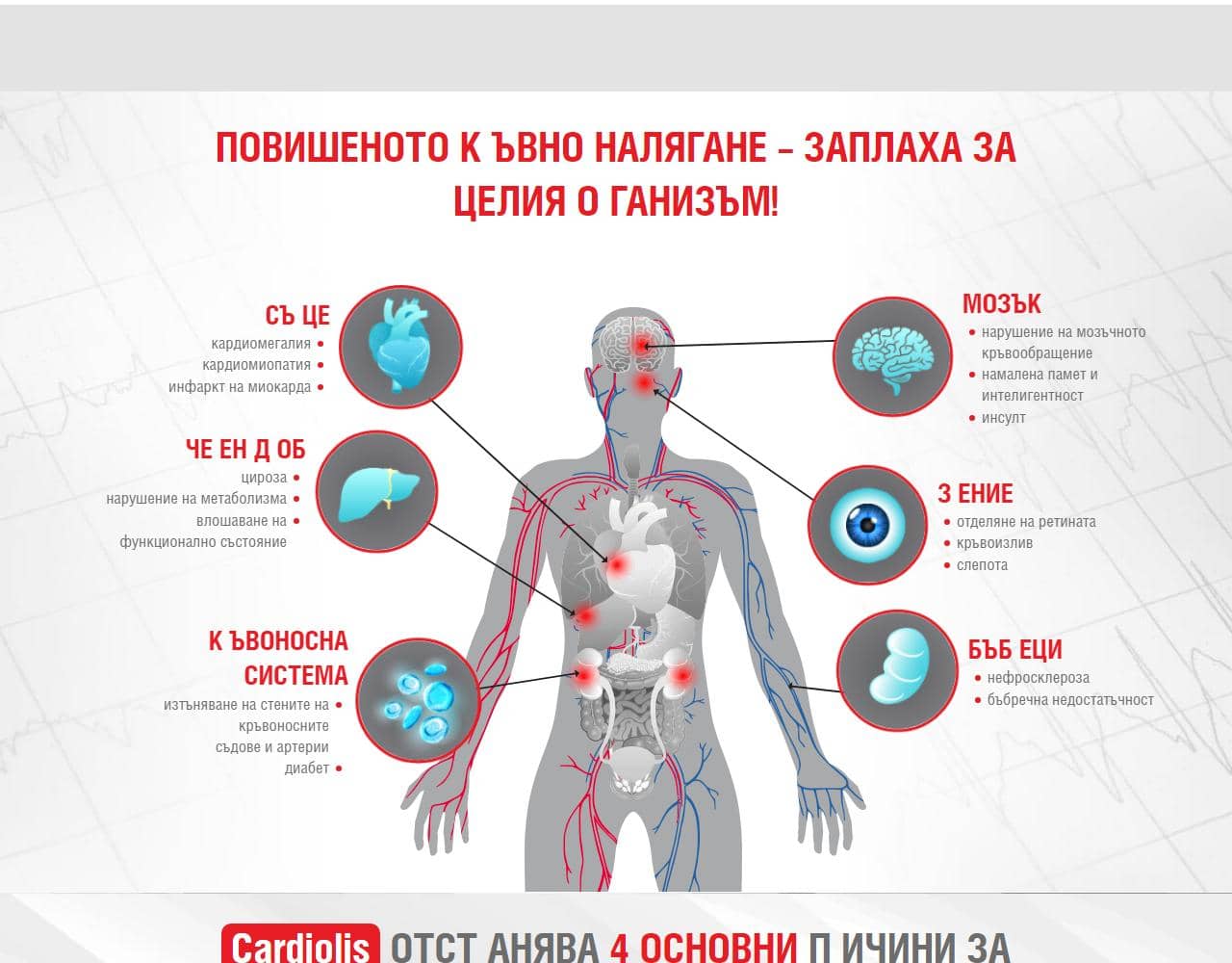 Cardiolis 3